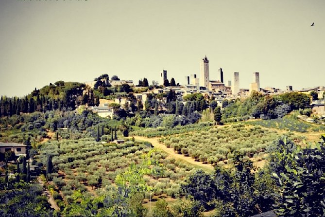 San Gimignano and Wine Experience All Inclusive Lunch and Wine Tasting - Cancellation Policy