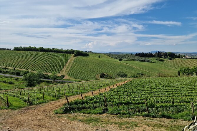 San Gimignano and Wine Experience All Inclusive Lunch and Wine Tasting - Booking Details