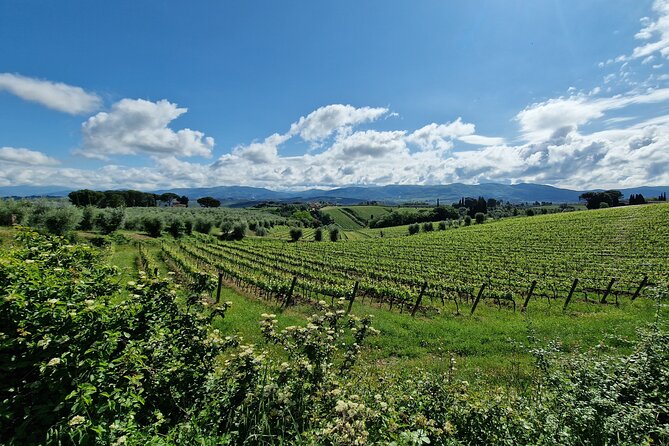 San Gimignano and Wine Experience All Inclusive Lunch and Wine Tasting - The Sum Up