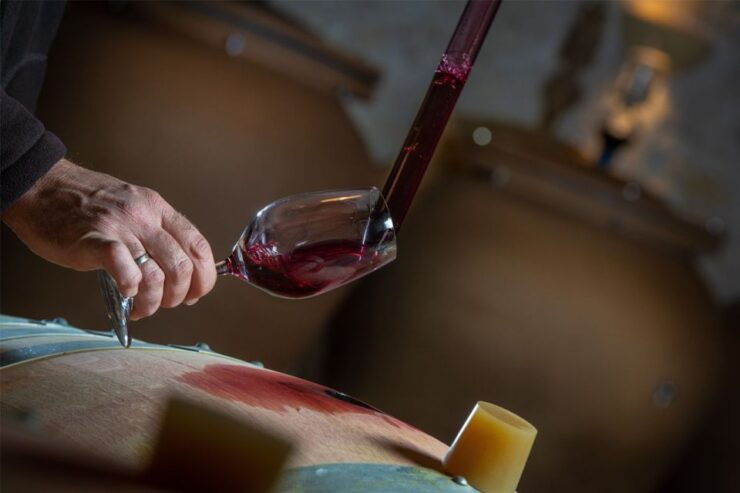 San Gimignano: Barrel Wine Tasting at a Winery - Good To Know