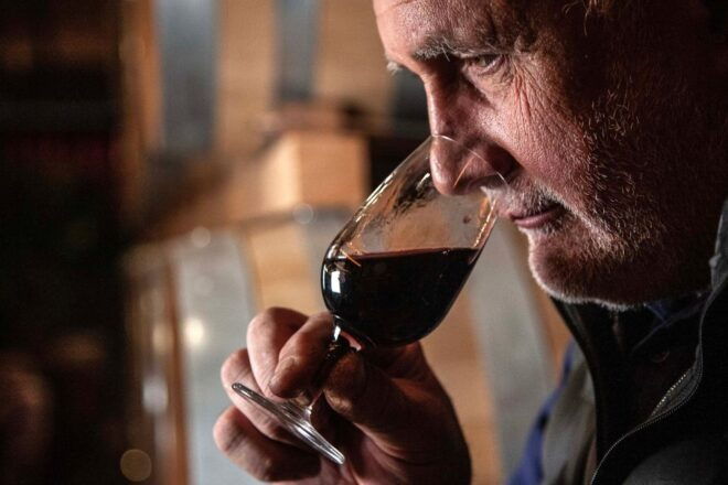 San Gimignano: Barrel Wine Tasting at a Winery - Tuscan Wine and Olive Oil Experience