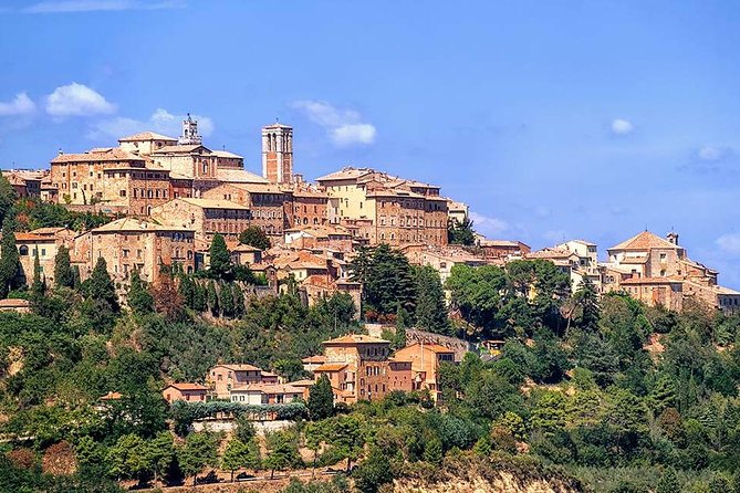 San Gimignano, Chianti, and Montalcino Day Trip From Siena - Reviews and Feedback