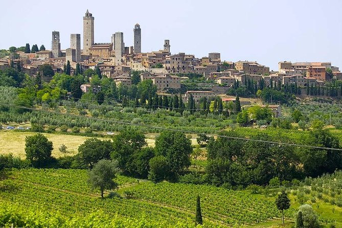 San Gimignano, Chianti, and Montalcino Day Trip From Siena - Tour Experience