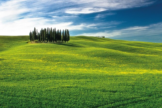 San Gimignano, Chianti, and Montalcino Day Trip From Siena - Common Questions