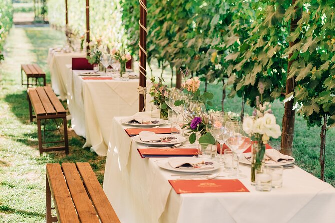 San Gimignano Dinner in the Vine Rows and Wine Tasting - Inclusions and Cancellation Policy