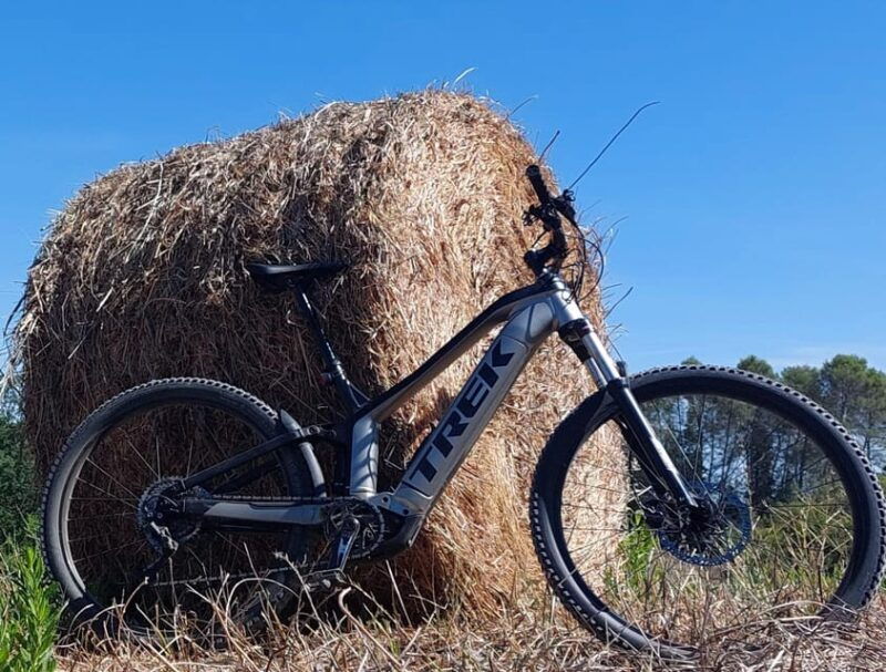 San Gimignano: E-Bike Tour with Tasting - An In-Depth Look at the Tour Experience