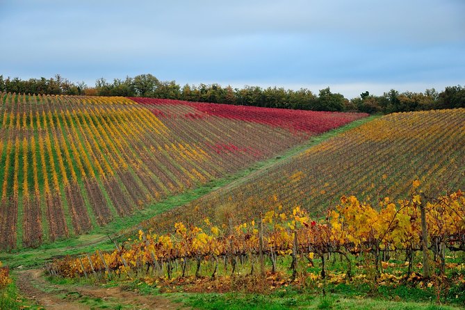 San Gimignano Monteriggioni Tuscany Chianti Wine Tasting Full Day From Florence - Frequently Asked Questions