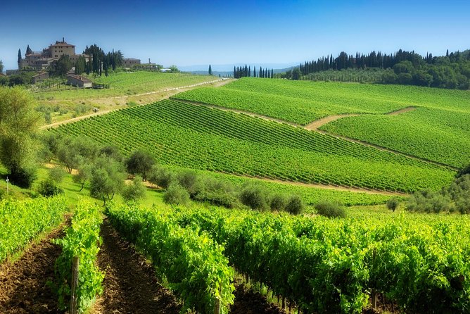 San Gimignano Monteriggioni Tuscany Chianti Wine Tasting Full Day From Florence - The Sum Up