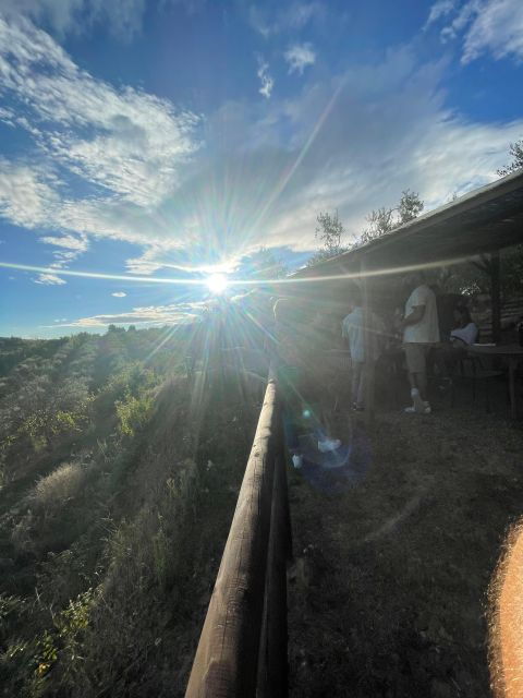 San Gimignano: Nature, Organic Wine and Lightheartedness - Experience Organic Wine Tasting Sessions