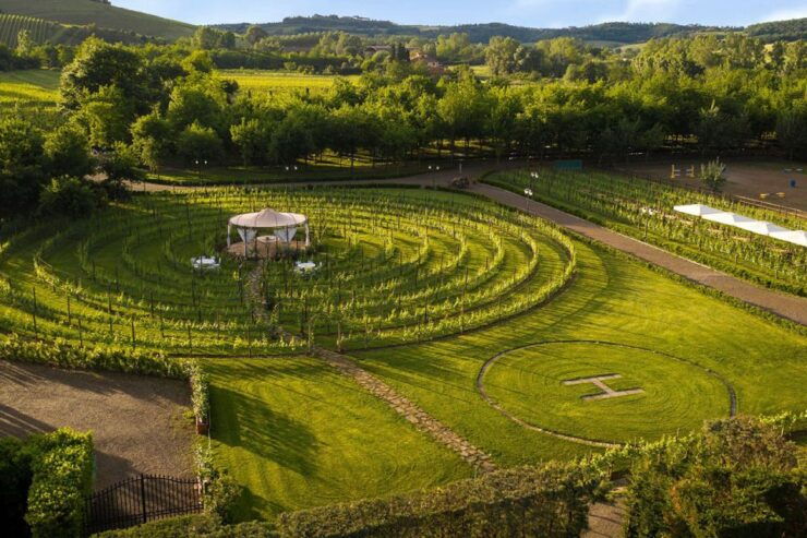 San Gimignano: Olive Oil Tasting and Tuscan Snacks - Activity Details