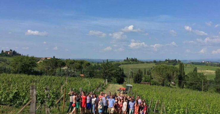 San Gimignano: Premium Wine Tour With Lunch - Tour Overview