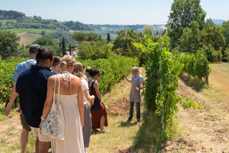 San Gimignano: Premium Wine Tour With Lunch - Pricing and Duration