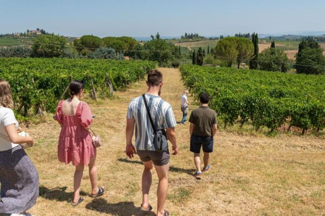 San Gimignano: Premium Wine Tour With Lunch - Activity Itinerary