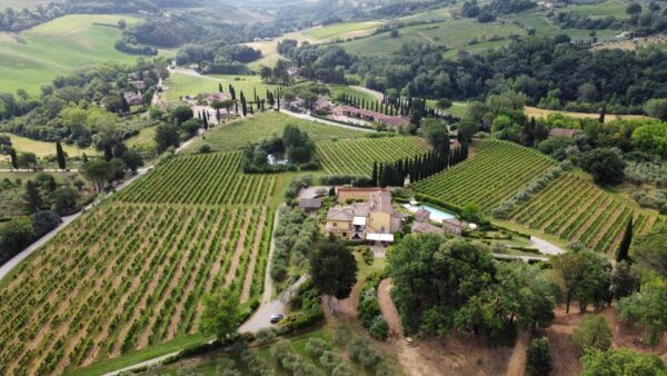 San Gimignano: Premium Wine Tour With Lunch - Important Information