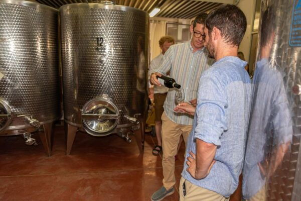 San Gimignano: Premium Wine Tour With Lunch - Frequently Asked Questions