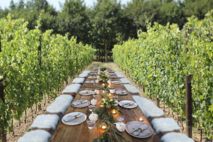 San Gimignano: Romantic Vineyard Dinner - Pricing and Savings