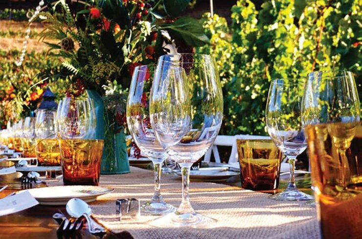 San Gimignano: Romantic Vineyard Dinner - Experience Highlights