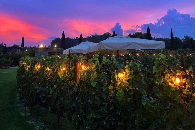 San Gimignano: Romantic Vineyard Lunch - Wine Tasting With Expert Guide