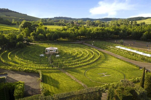 San Gimignano: Romantic Vineyard Lunch - Immersive Countryside Experience