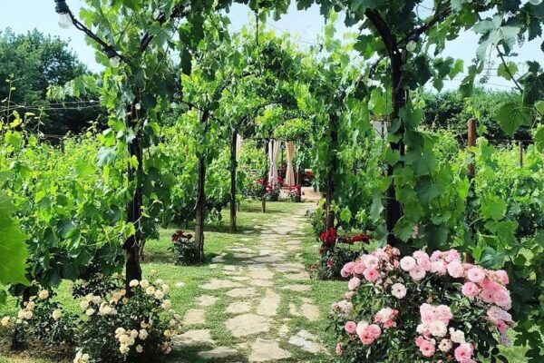 San Gimignano: Romantic Vineyard Lunch - History and Culinary Traditions