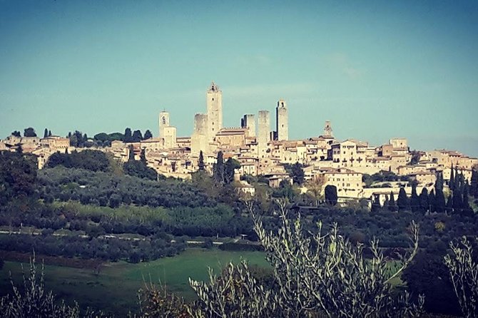 San Gimignano & Siena Chianti Winery Full Experience Included - Experience Highlights