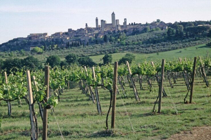 SAN GIMIGNANO: TASTING WITH A VIEW OF THE TOWERS - Reservation Information