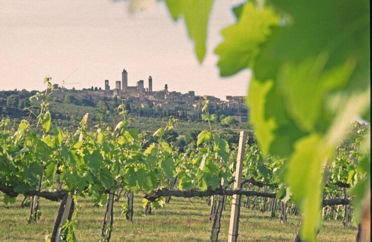 SAN GIMIGNANO: TASTING WITH A VIEW OF THE TOWERS - Good To Know