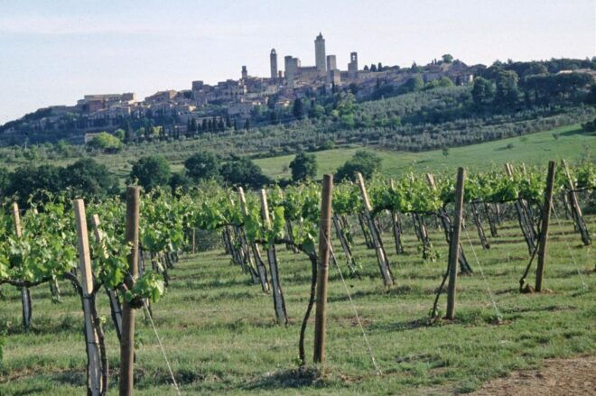 SAN GIMIGNANO: TASTING WITH A VIEW OF THE TOWERS - Wine Tasting Experience