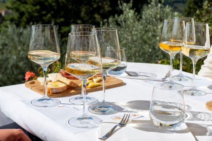 San Gimignano: Top Masterclass at Vernaccia Wine Experience - Good To Know