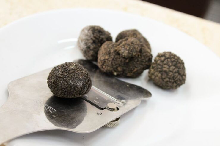 San Gimignano: Truffle Cooking Class With Wine Tasting - Activity Details