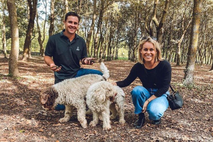 San Gimignano: Truffle Hunting With Lunch & Wine Tasting - Activity Description