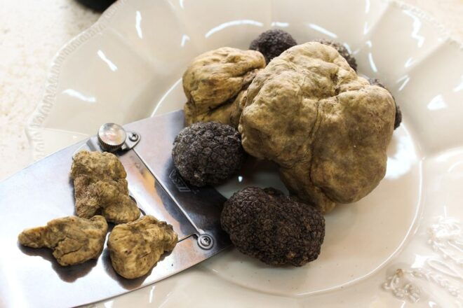 San Gimignano: Truffle Hunting With Lunch & Wine Tasting - Meeting Point