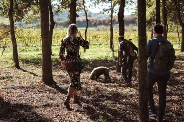 San Gimignano: Truffle Hunting With Lunch & Wine Tasting - Frequently Asked Questions