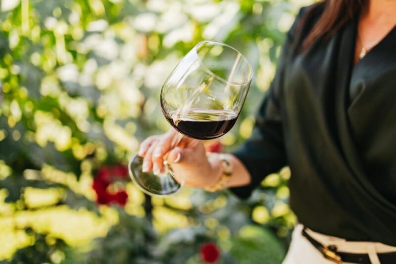 San Gimignano: Tuscan Vineyard Lunch with Wine Tasting - The Practical Side: How It Works