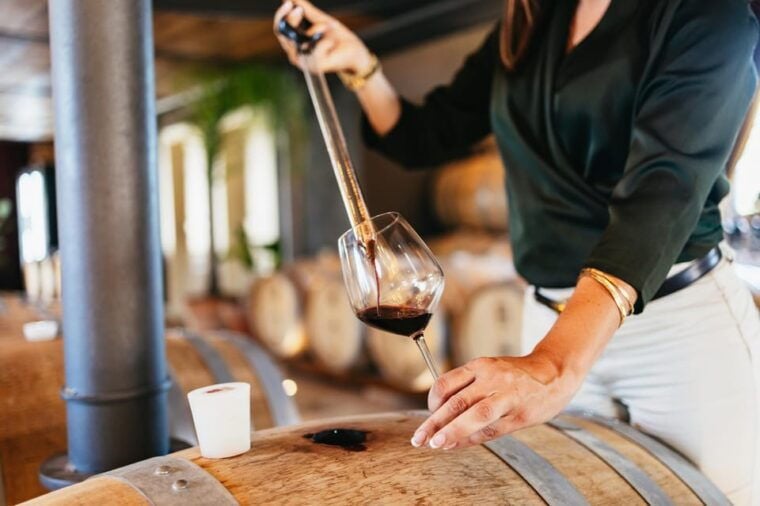 San Gimignano: Tuscan Vineyard Lunch with Wine Tasting - Who Will Love This Experience?