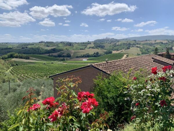 San Gimignano & Volterra: Private Transfer From Florence - Inclusions and Reviews