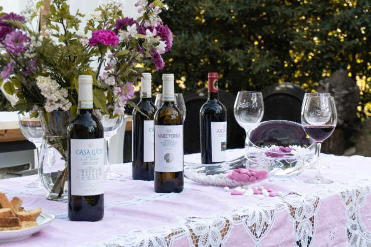 San Gimignano: Wine and Food Tasting in a Family Winery - Experience the Organic Wine Journey