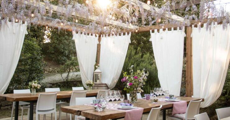 San Gimignano: Wine and Food Tasting in a Family Winery - Explore the Family Winery Estate