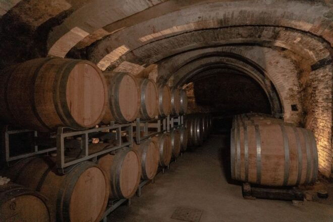 San Gimignano: Wine and Food Tasting in a Family Winery - Delight in the Culinary Offerings