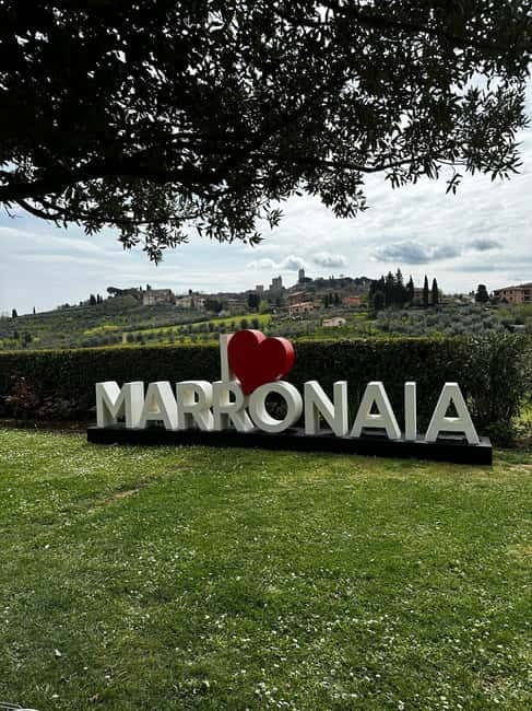 San Gimignano: Wine, Oil, Cheese & Balsamic Tasting - An In-Depth Look at the Experience