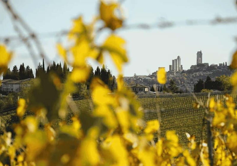 San Gimignano: Wine Tasting Experience at Il Colombaio - The Value of the Experience