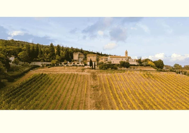 San Gimignano: Wine Tasting Experience at Il Colombaio - Practical Details