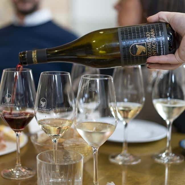 San Gimignano: Wine Tasting Experience at Il Colombaio - Final Thoughts