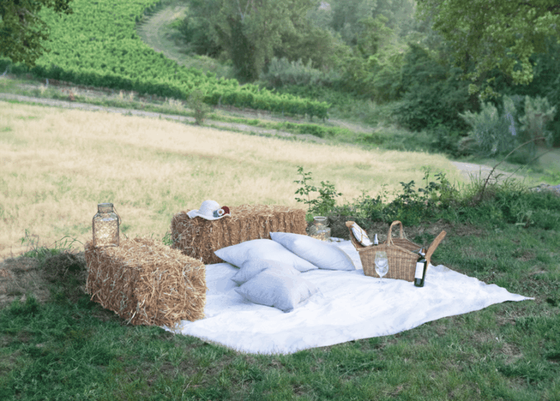San Gimignano: Wine Tasting with Aperitivo in the Vineyard - Good To Know