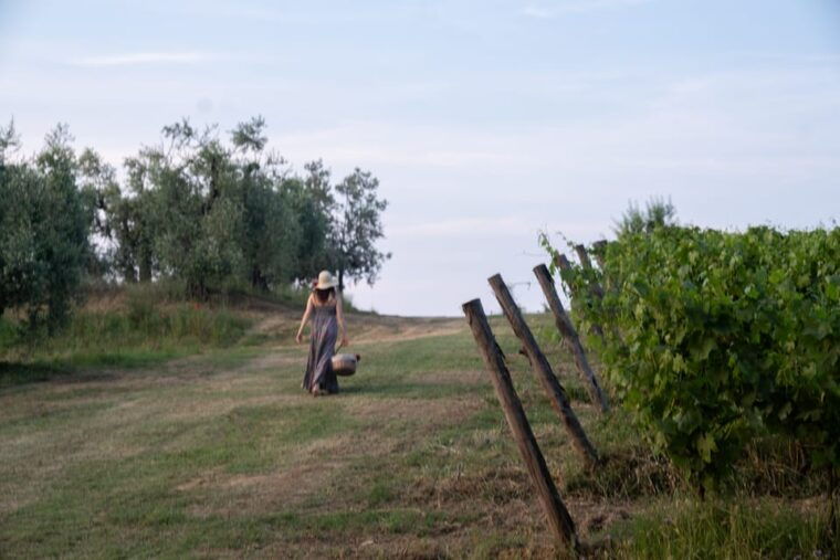 San Gimignano: Wine Tasting with Aperitivo in the Vineyard - Who Should Consider This Tour?