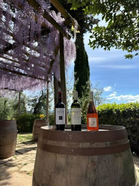 San Gimignano: Wine Tasting With Food Pairing - Booking and Contact Details
