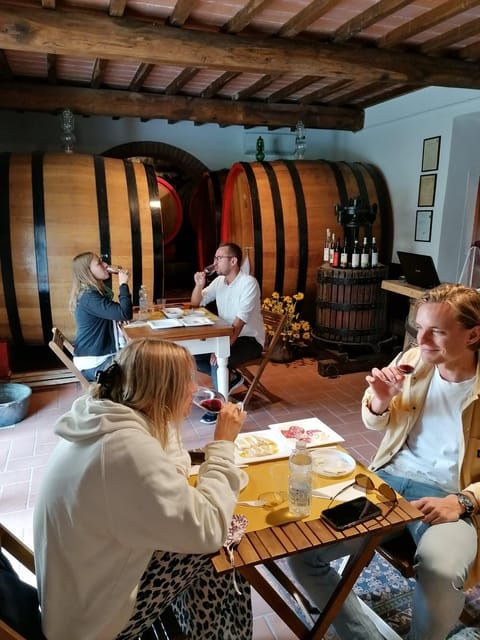 San Gimignano: Wines and Oil Tasting With Vineyards Tour - Good To Know