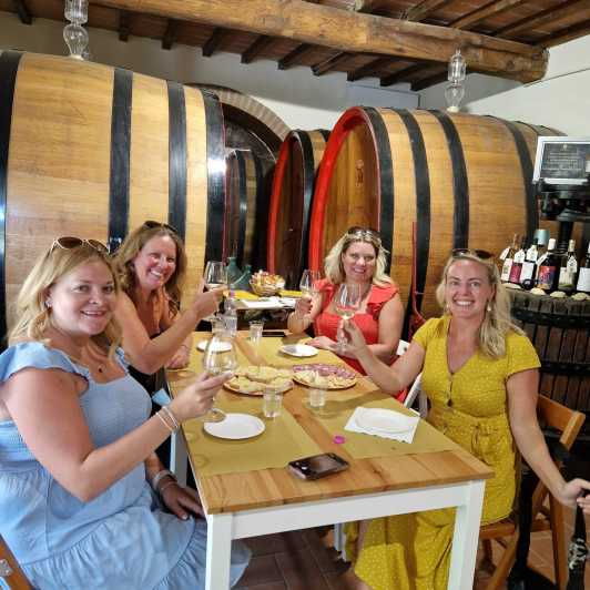 San Gimignano: Wines and Oil Tasting With Vineyards Tour - Tour Highlights