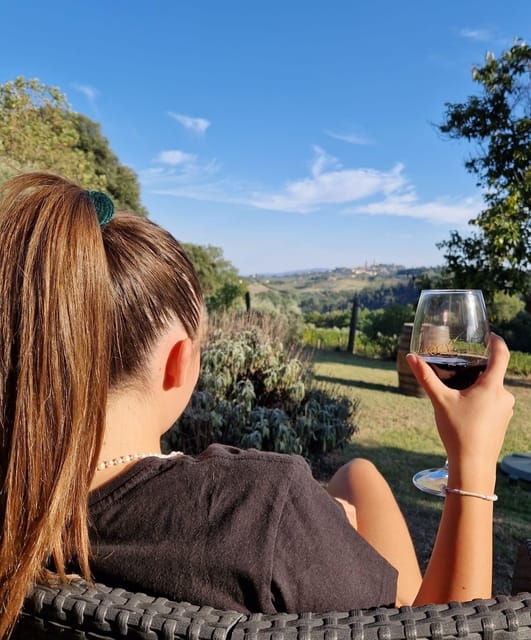 San Gimignano: Wines and Oil Tasting With Vineyards Tour - Inclusions and Exclusions