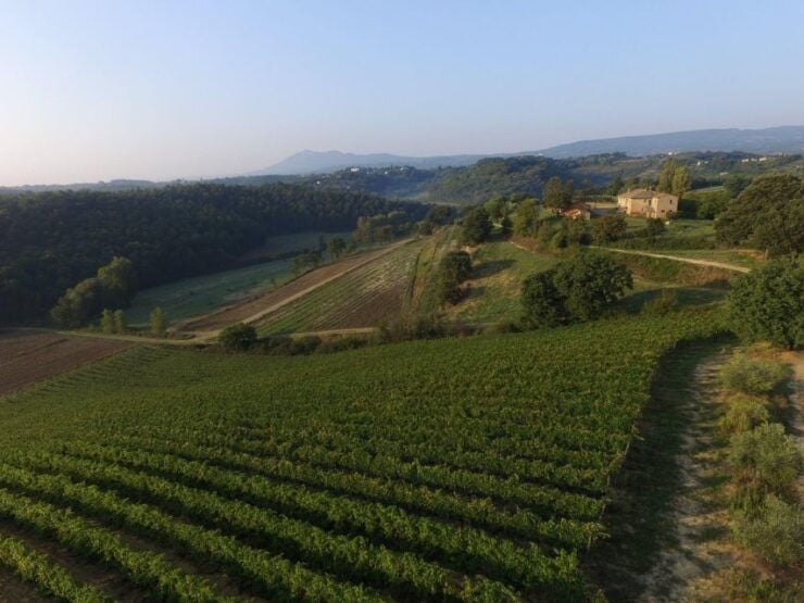 San Gregorio Tasting - Tour Description